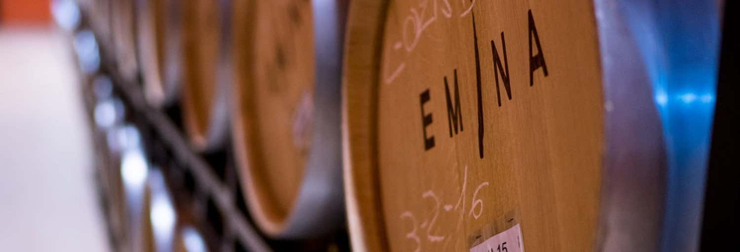 Visita a la bodega Emina Ribera