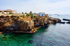 Excursión a la isla de Tabarca y palmeral de Elche