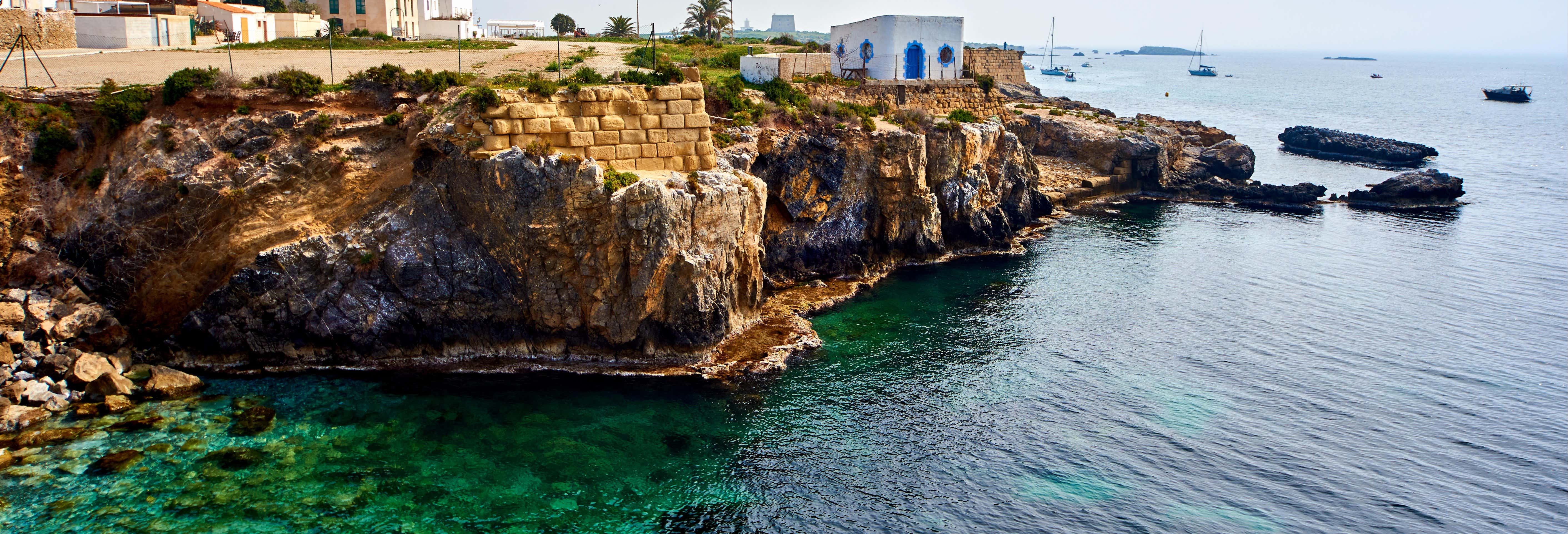 Excursión a la isla de Tabarca y palmeral de Elche