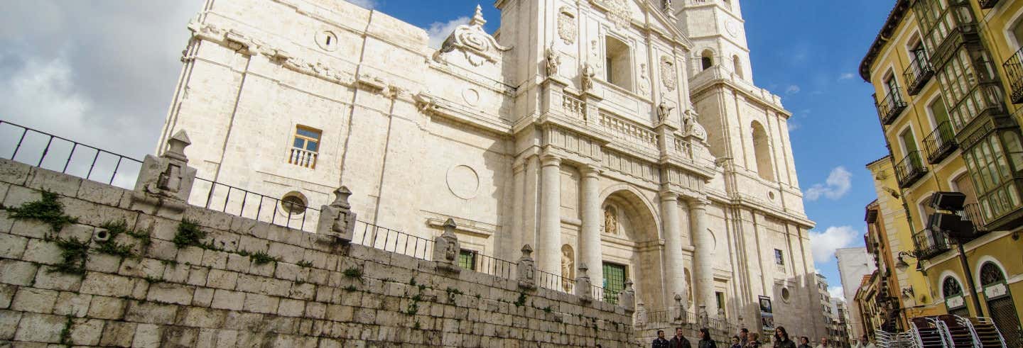 Visita a la catedral, subida a la torre y Museo Diocesano