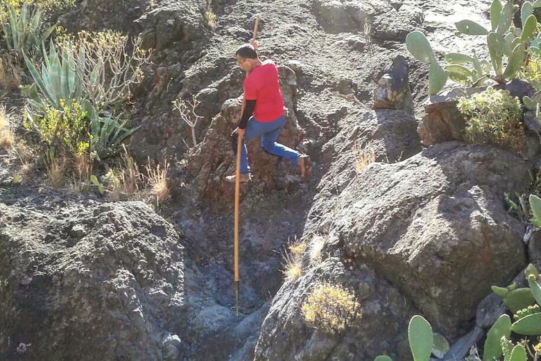 Practicando el salto del pastor en La Gomera