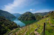 Excursión a la Ribeira Sacra