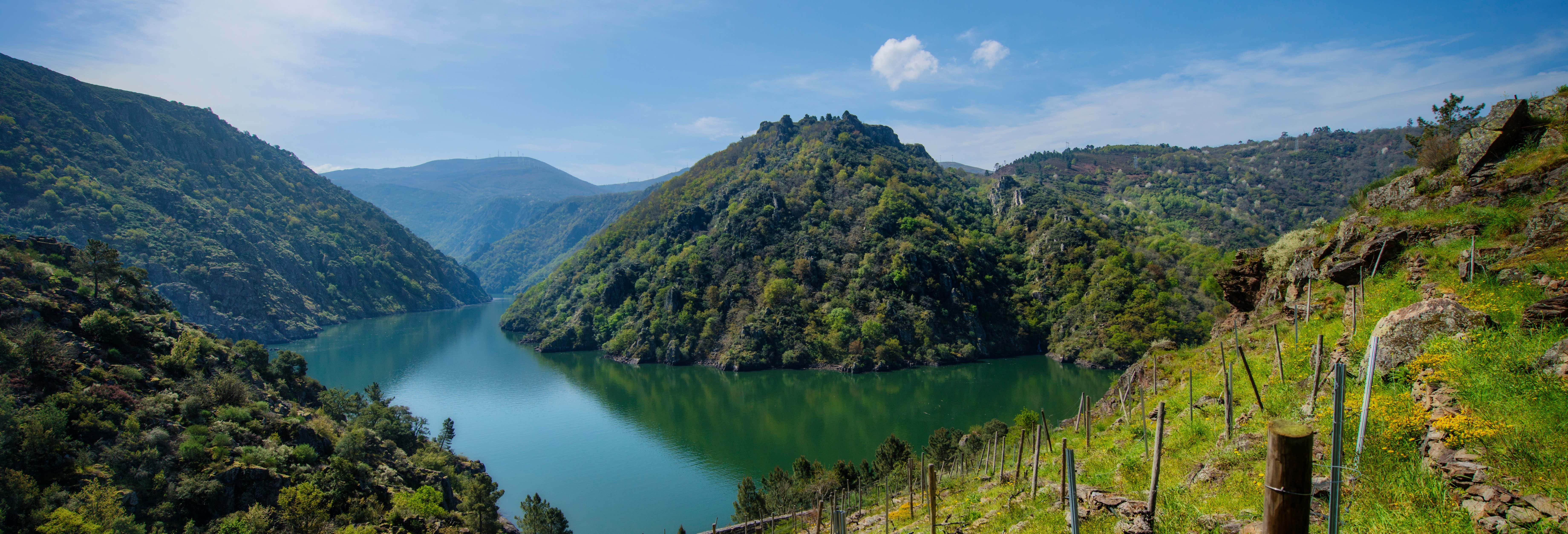 Excursión a la Ribeira Sacra desde Vigo