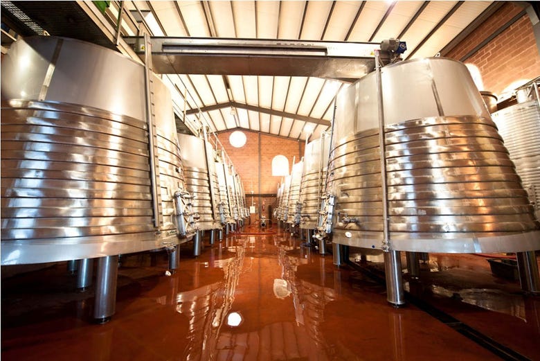 The fermentation vats
