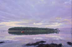 Tour en kayak por la isla de Cortegada