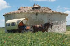Visita guiada por la finca de Matallana