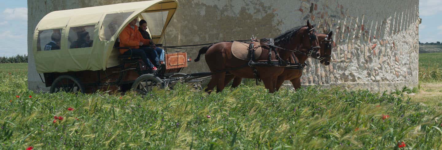 Visita guiada por la finca de Matallana