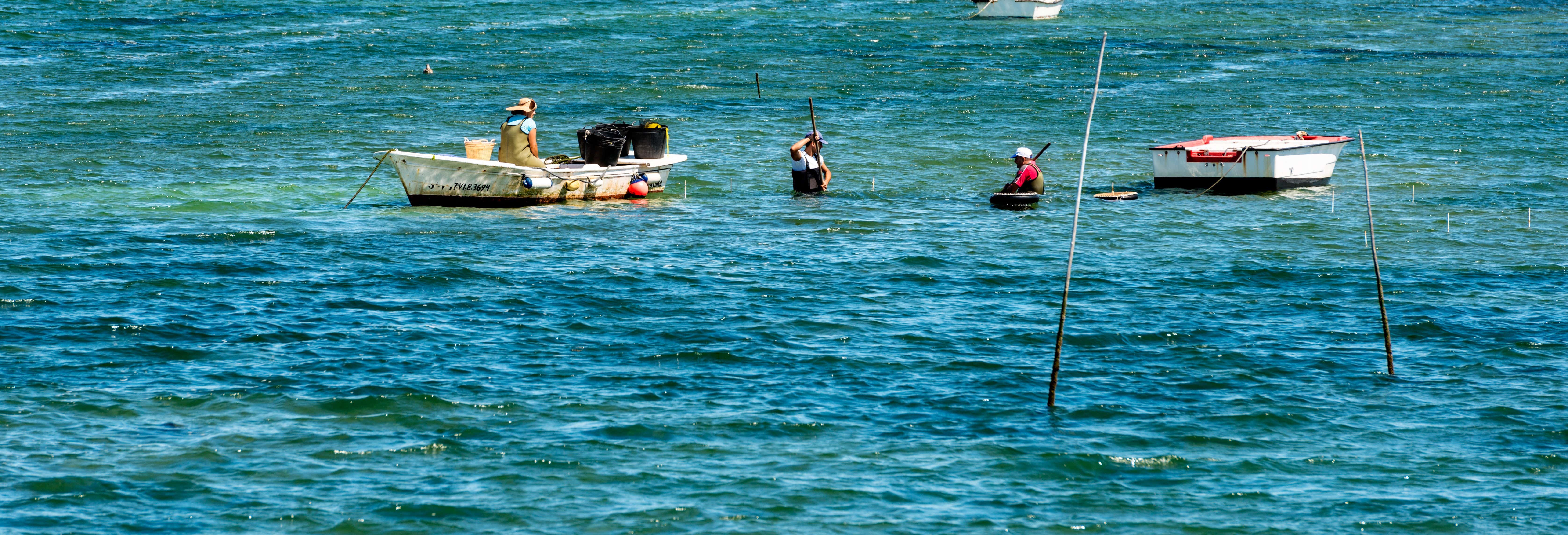 Paseo en barco por la Ruta Jacobea