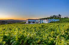 Visita às Bodegas Granbazán