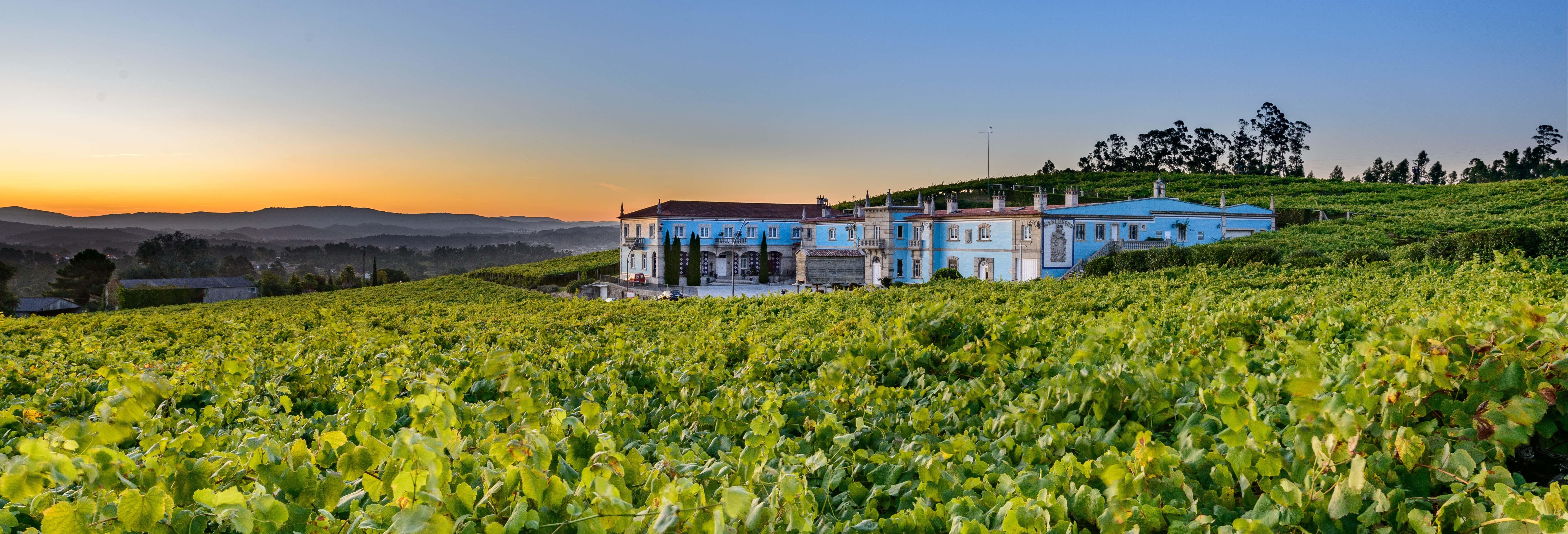 Visita a la bodega Granbazán