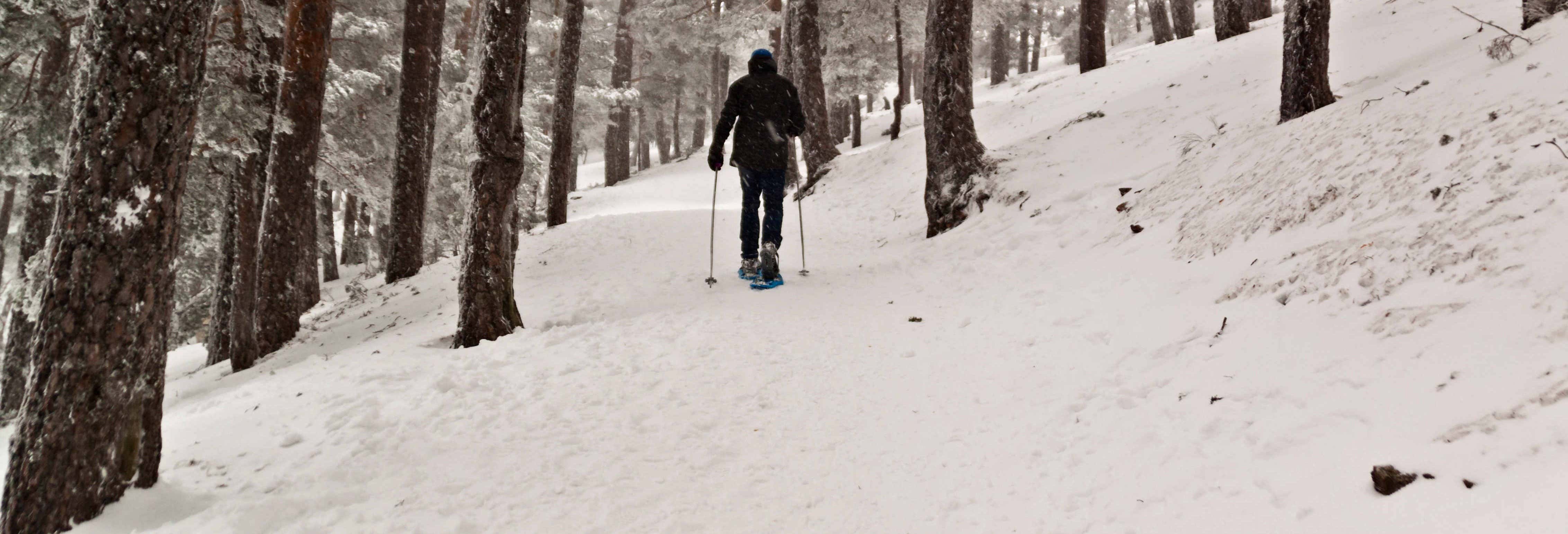 Paseo con raquetas de nieve por la sierra de Urbión