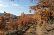Trekking a Quejigares de Barriopedro e Brihuega