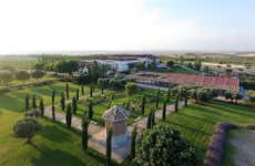 Visita às Bodegas y Viñedos Casa del Valle