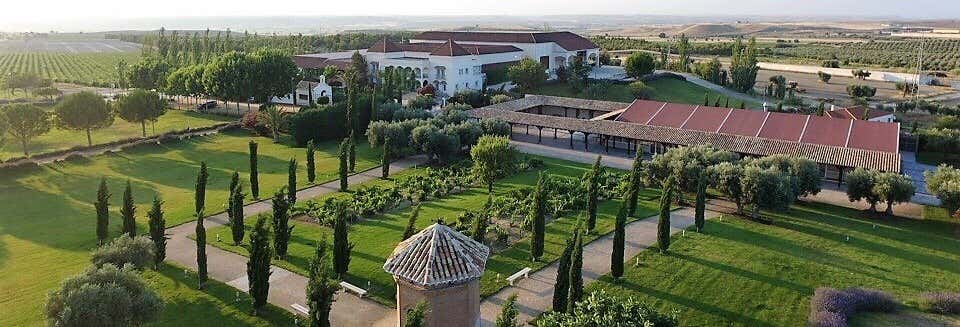 Visita a Bodegas y Viñedos Casa del Valle