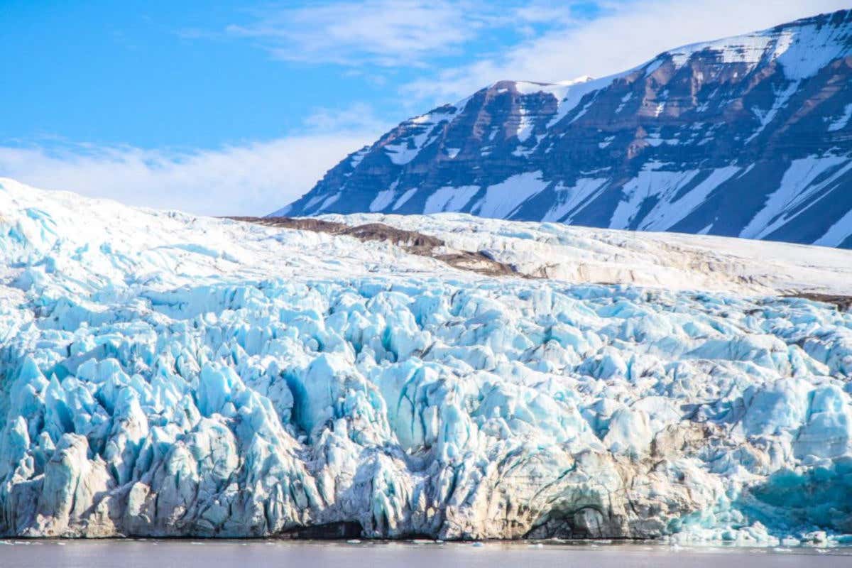 Excursión al Glaciar Portage + Centro de Conservación de Vida Silvestre desde Anchorage