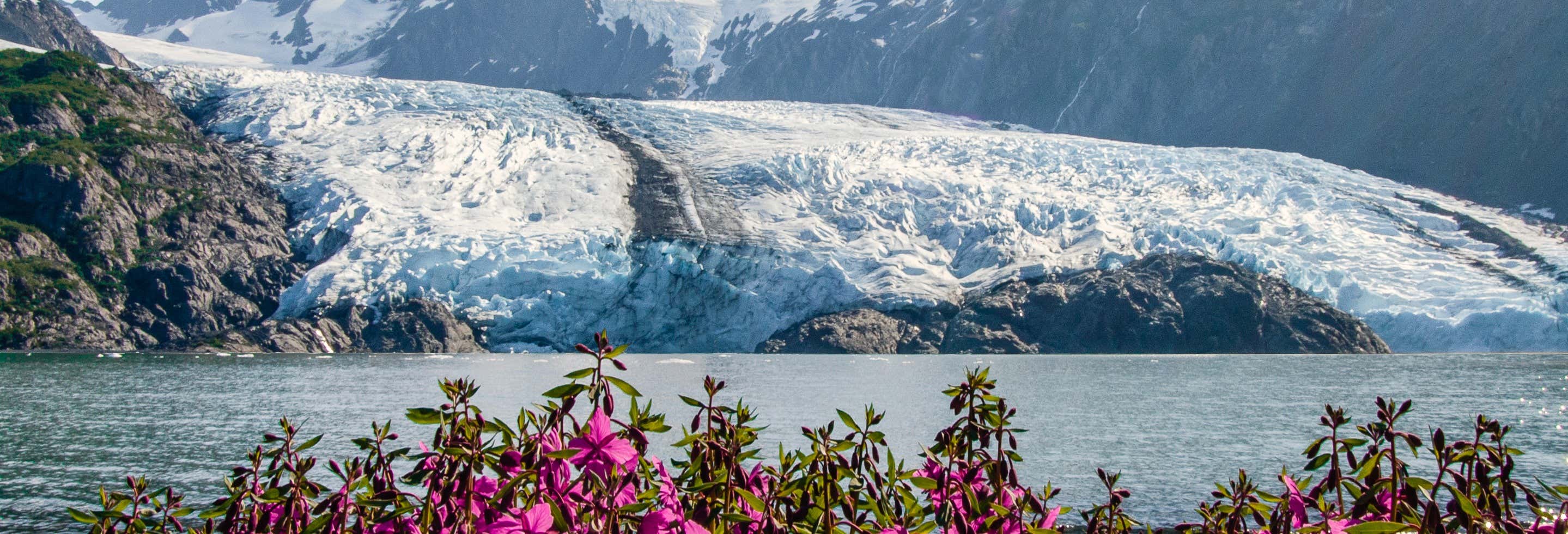 Glaciar Portage + Centro de Conservación de Vida Silvestre
