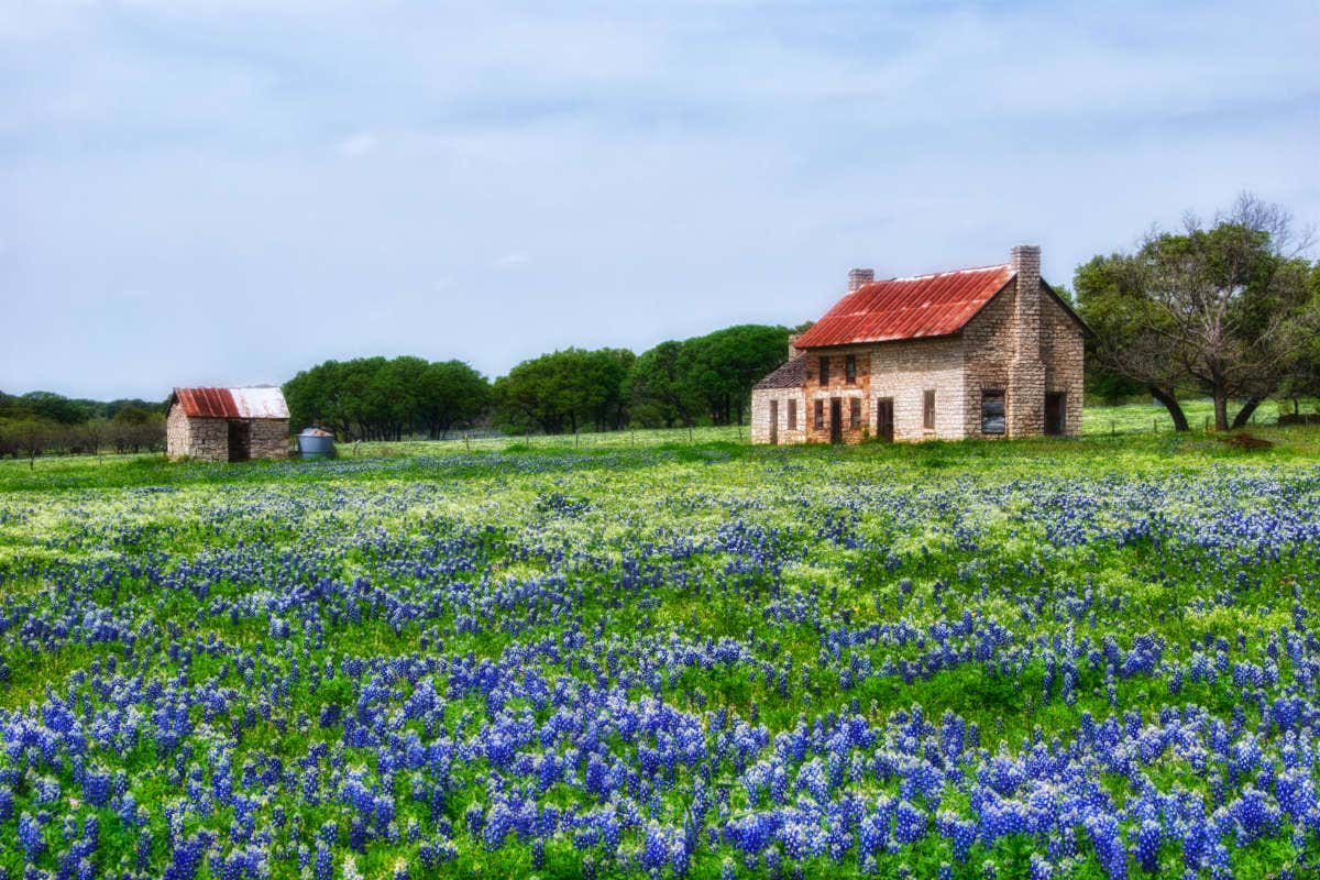 Tour por Texas Hill Country desde Austin