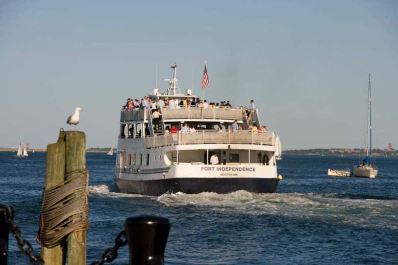 are dogs allowed on boston harbor cruises