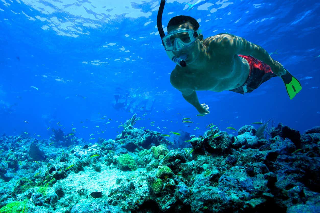 Snorkel en Cayo Hueso
