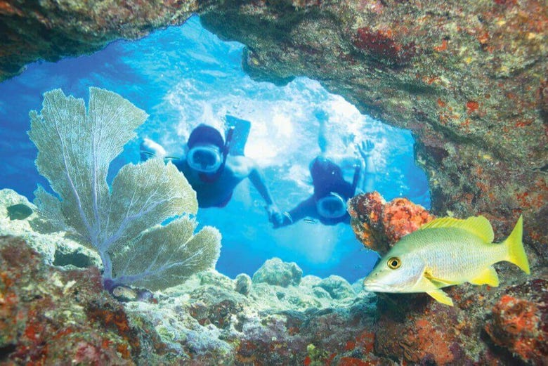 Expérience de snorkeling à Key West