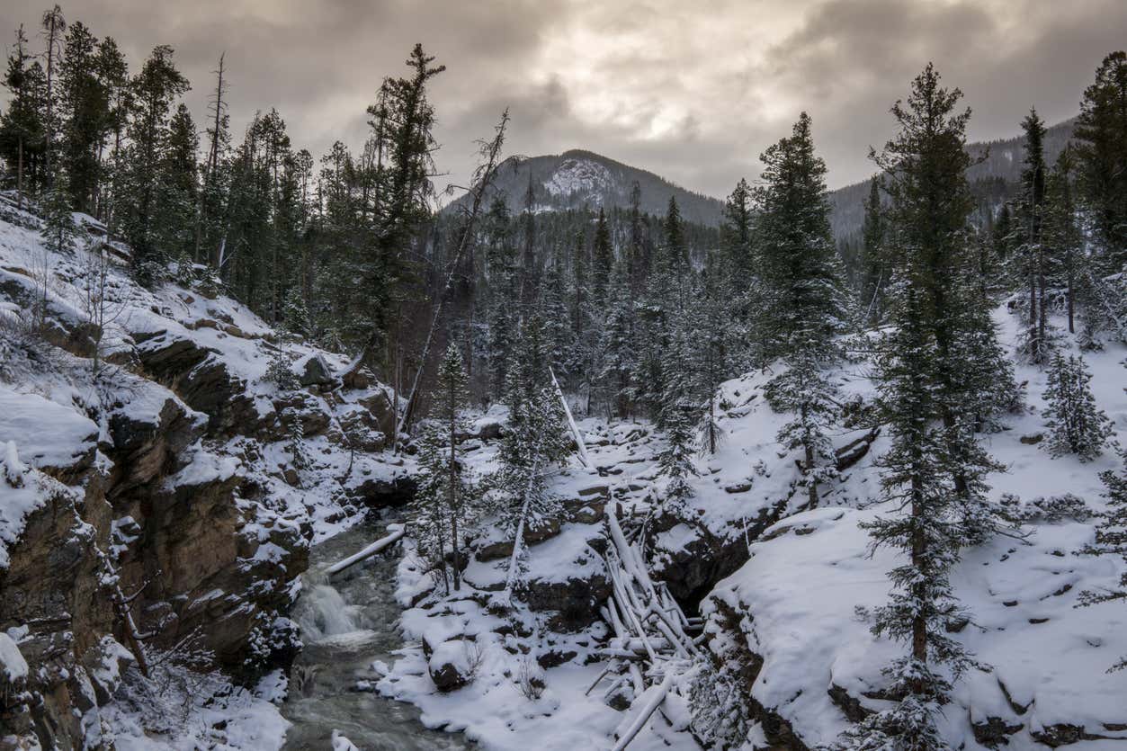 Paseo con raquetas de nieve por las Montañas Rocosas desde Denver