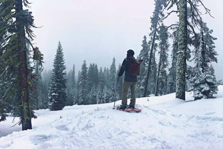 Snowshoe Tour in Yosemite National Park, El Portal