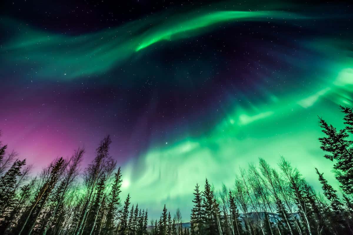 Tour de la aurora boreal + Termas de Chena desde Fairbanks