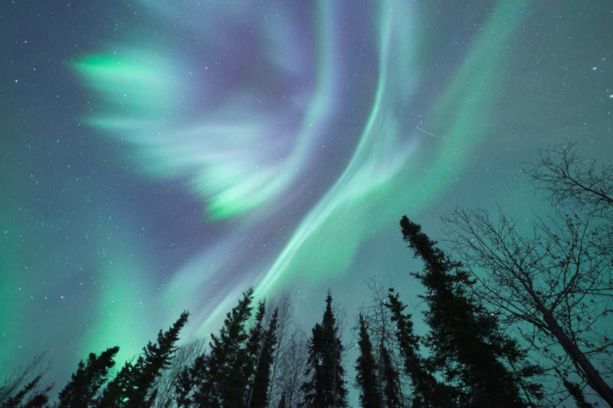 Tour de la aurora boreal desde Fairbanks