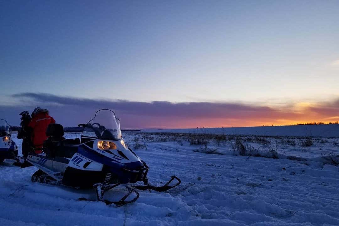 Paseo en moto de nieve por Fairbanks