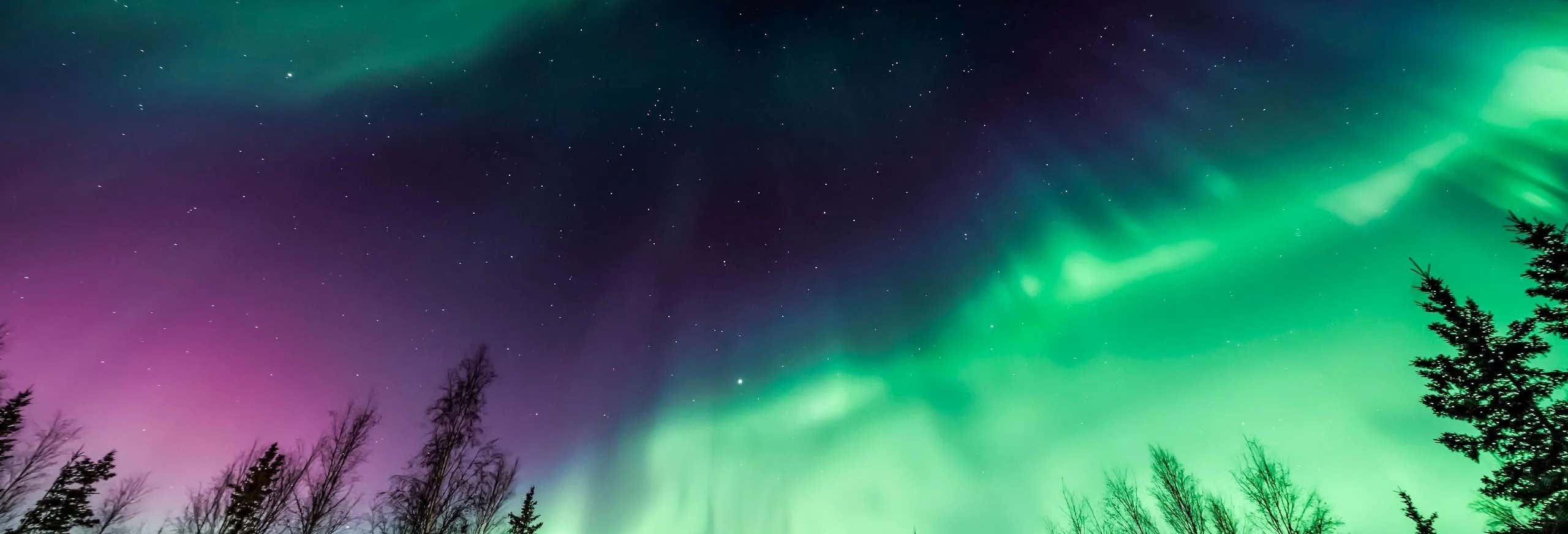 Fairbanks Northern Lights Tour