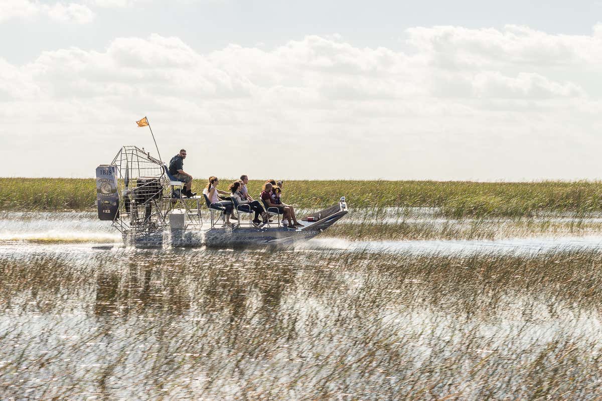 Paseo privado en aerodeslizador por los Everglades desde Fort Lauderdale
