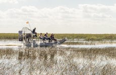 Paseo privado en aerodeslizador por los Everglades