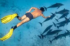 Location d’équipement de snorkeling
