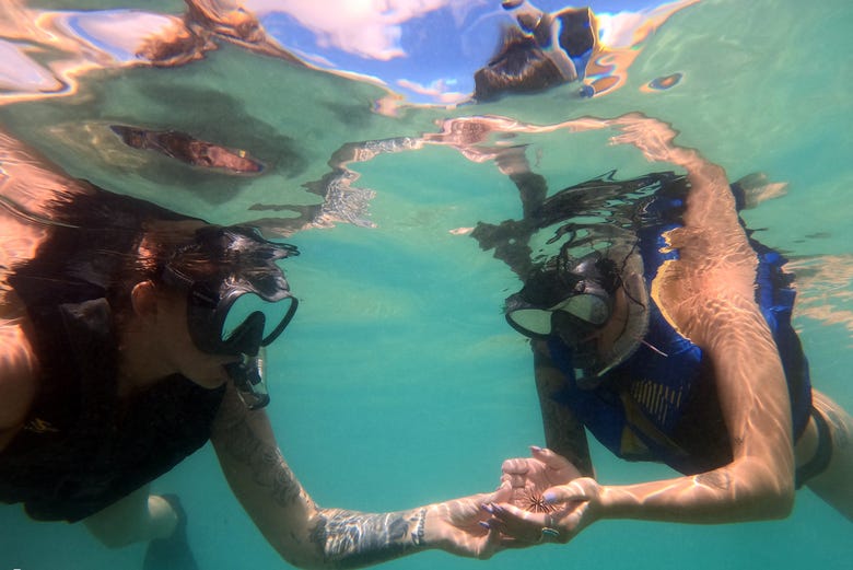 Snorkel en Honolulu Reserva online en