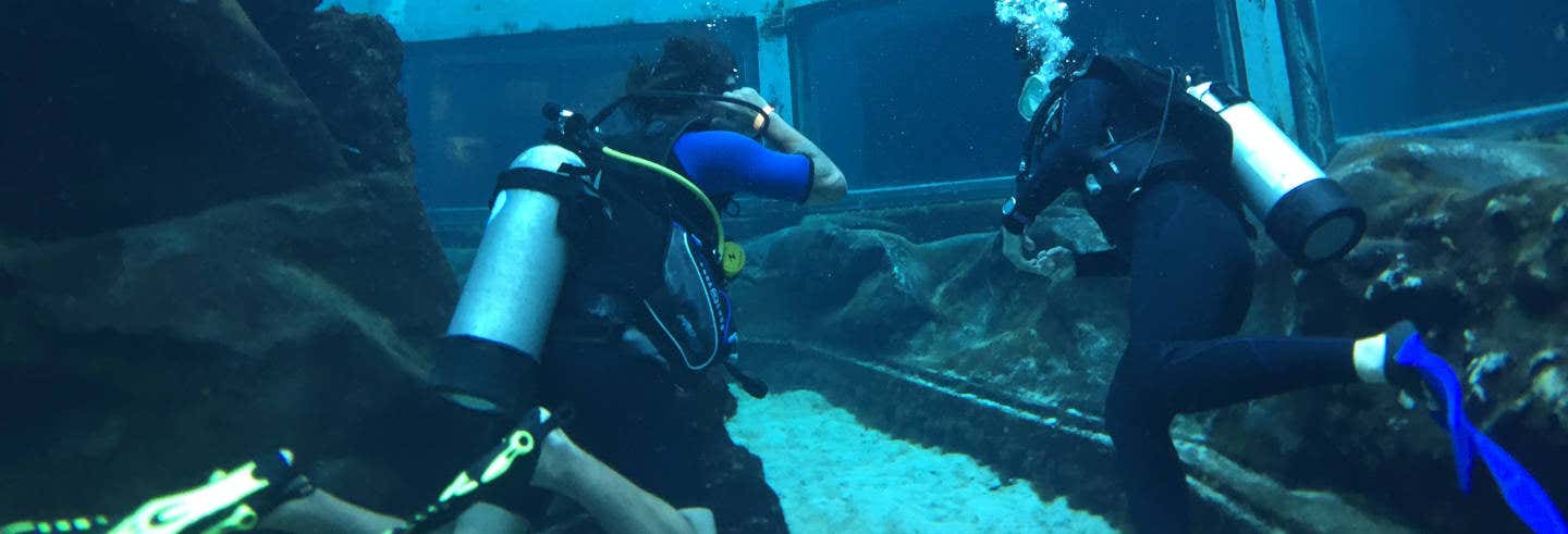 Nado con tiburones en Sea Life Park Hawaii
