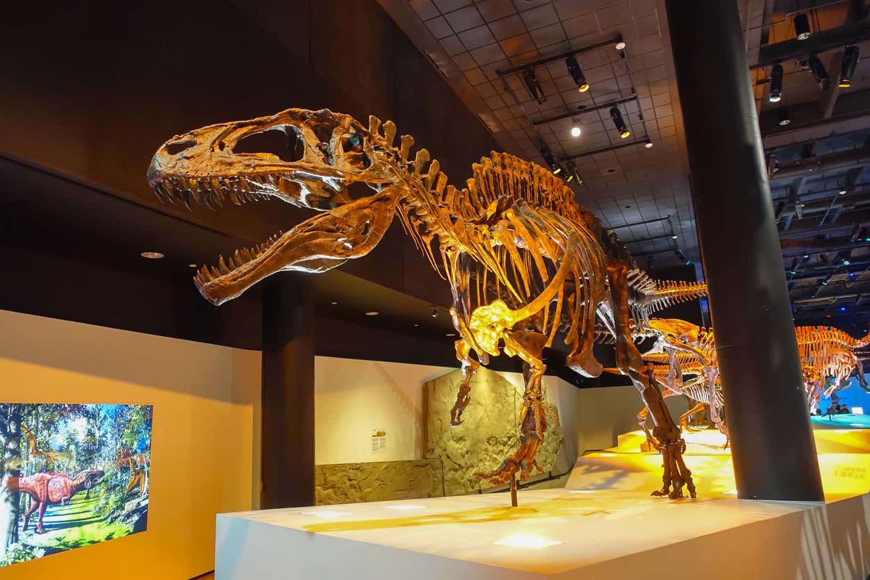 Houston Museum Pass
