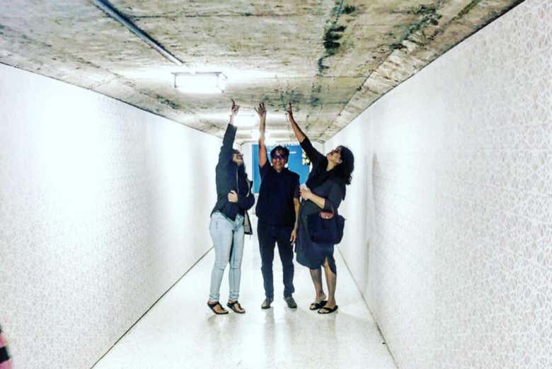 Houston Downtown Tunnels Tour Book Online at