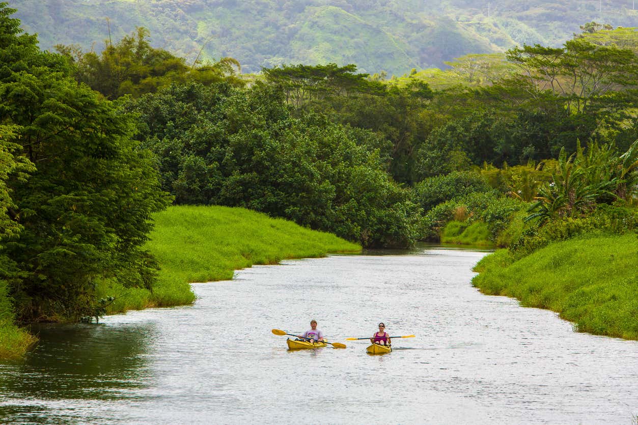 Tour en kayak por Hanalei desde Kauai