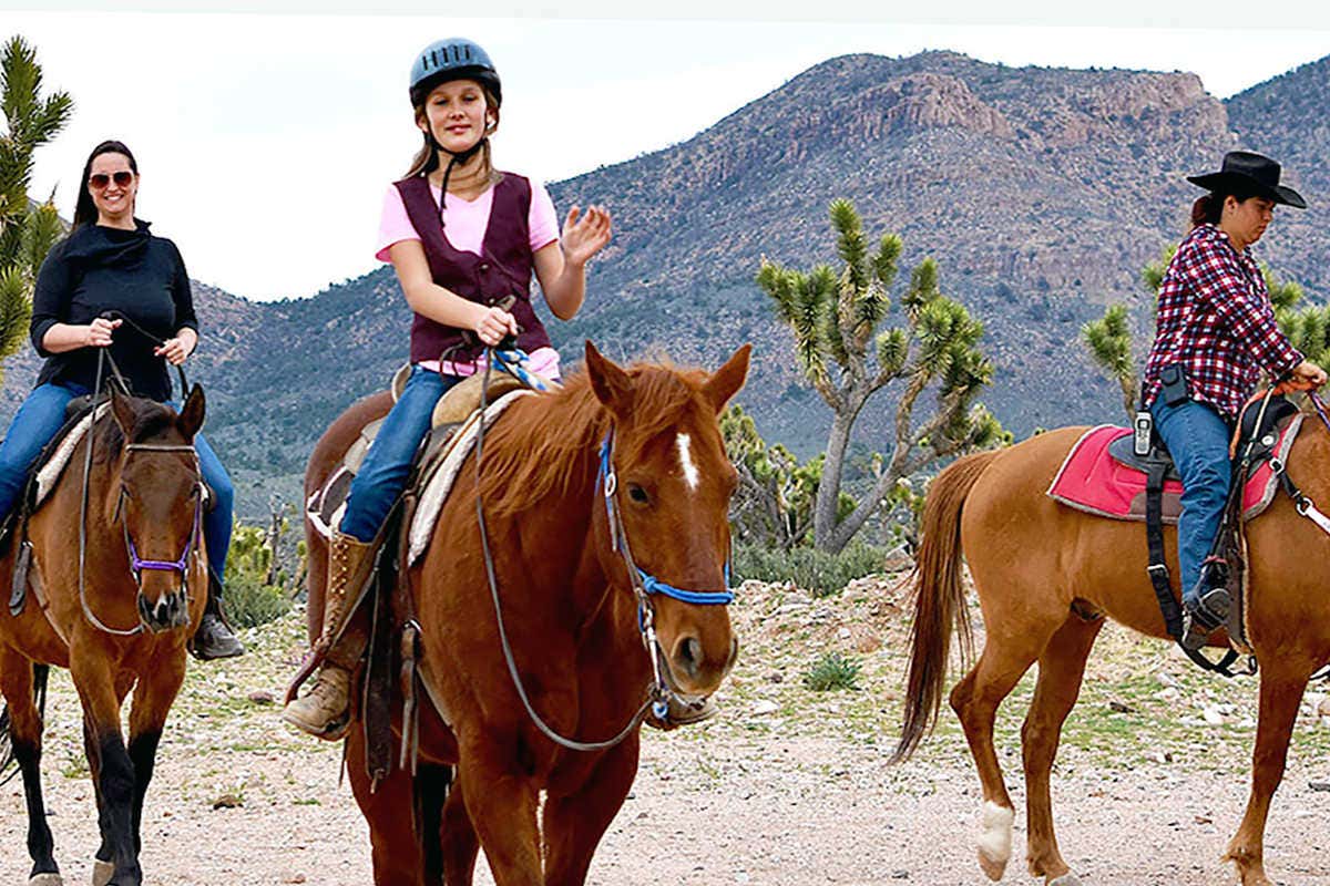 Paseo a caballo por el Bosque de Árboles de Josué desde Kingman