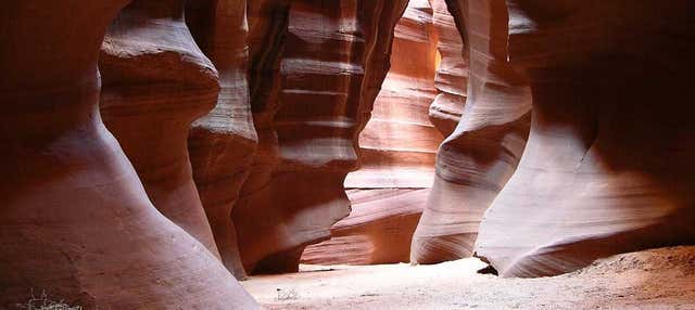 Excursão ao Horseshoe Bend e ao Antelope Canyon X