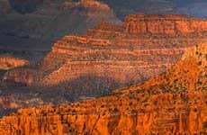 Escursione al Grand Canyon di South Rim