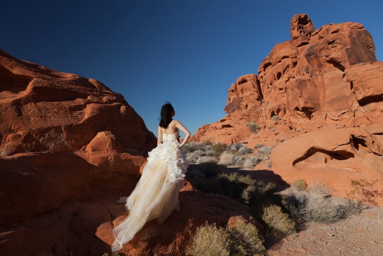 Getting married in the Valley of Fire