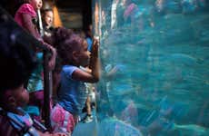 Aquarium of The Pacific Ticket