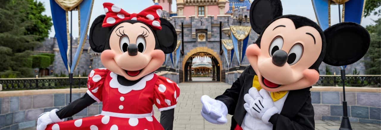 Billet pour Disneyland California