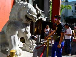 Lion at the TCL Chinese Theatre
