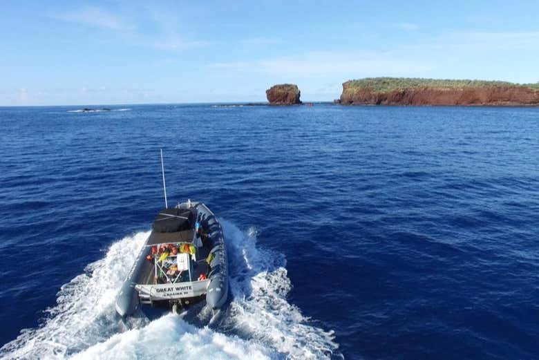 Snorkel en Lahaina, Maui