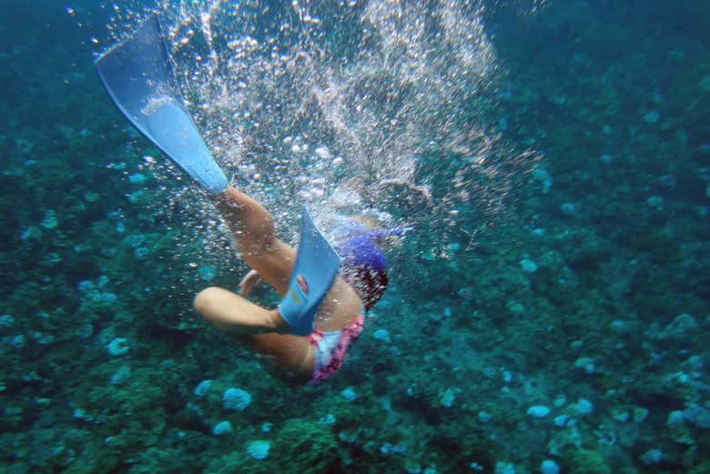 Snorkel en Lahaina, Maui