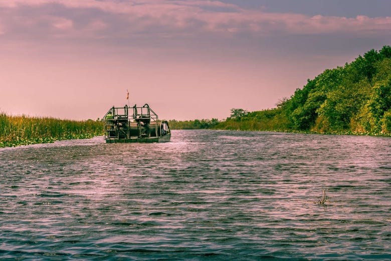 Hovercraft crossing the Everglades
