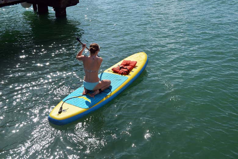 Miami Paddle Board Rental introducing Miami