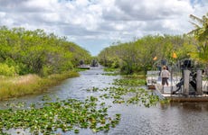 Paseo en aerodeslizador por los Everglades